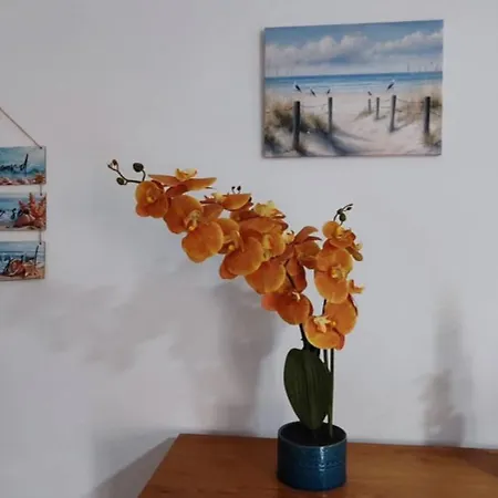 Queens Gardens 104 Appartamento *